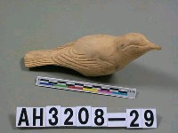 藏品(白鳥)的圖片